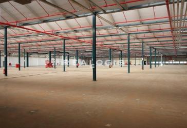 PROVISIONSFREI: Ca. 3.000 qm Lager / Logistik | ebenerdig | Ca. 4,00 m UKB