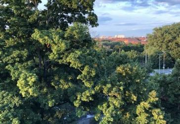 helle, neu renovierte 3-Zimmer Wohnung mit Balkon und Fernblick über Pegnitzauen