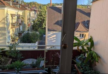 Lichtdurchflutete, sanierte 3-Zi-Whg in Top Lage Würzburg Zellerau mit Balkon und EBK