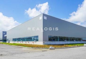 Provisionsfrei:Ca. 15.000 qm Produktionsfläche | Rampe und ebenerdig | Ca 12,00 m UKB