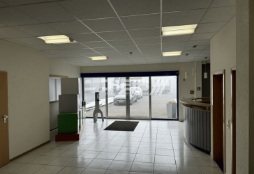 Viel Platz auf 2 Büroetagen mit Stellplätzen