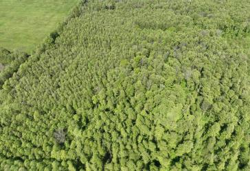 1,5 ha Spreewald bei Lübben - Biosphärenreservat