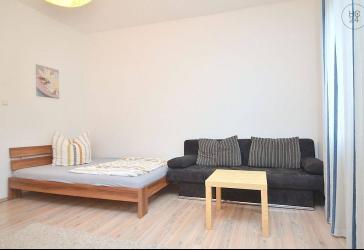 Hell möblierte 1-Zimmer-Wohnung in zentraler Lage Nürnbergs/Lichtenhof