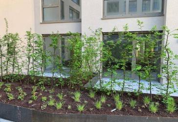Provisionsfrei, Neubau, Erstbezug, 2-Zimmer Wohnung im EG mit Loggia und Terrasse im Zollhafen