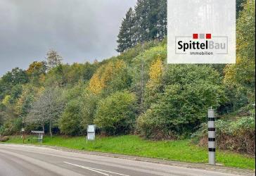 Vorschaubild Grundstück