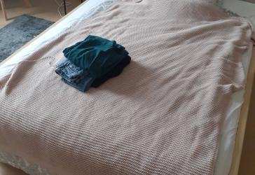 Frauen WG flat Share City center