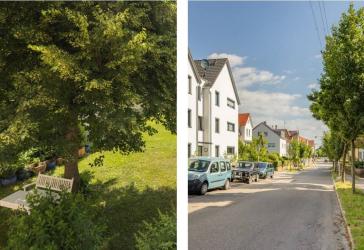 Geschmackvolle und gepflegte Wohnung mit 3 Räumen und Einbauküche in Stuttgart-Zuffenhausen ab 01.09.2026