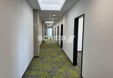 Neu und mondern - 2 Büroräume inklusive Internet, Nähe A6