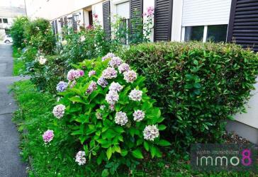 Zauberhafte 3 Zimmer sehr zentral mitten in einem großen Garten zu einem TOP Preis