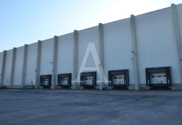 LOGISTIKFLÄCHEN IN BEDBURG | MIETE | 9,50 M HÖHE | BEHEIZT | ANGERMANN NRW
