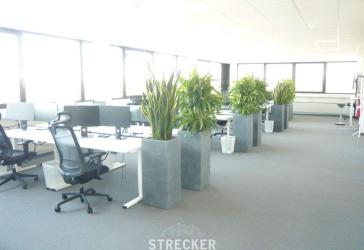 Vorschaubild Büro- /Praxis-Immobilie