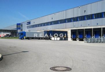 sofort verfügbar I ca. 5.000 m² Lager- und Logistikhalle mit Rampenandienung zu vermieten