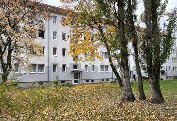 Wohnen im Erdgeschoss - Wir sanieren für Sie eine 2-Raumwohnung ohne Balkon in Wolfen-Nord !
