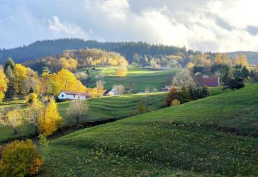 Großzügiges Zwei-/Dreifamilienhaus mit großer Doppelgarage in äußerst bevorzugter Panoramawohnlage