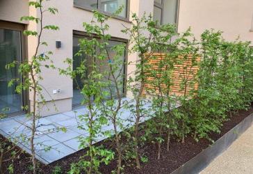 Provisionsfrei, Neubau, Erstbezug, 2-Zimmer Wohnung im EG mit Loggia und Terrasse im Zollhafen