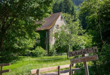 Wohnen inmitten der Natur: Ehemaliges Forsthaus zwischen Waldrand und Bachlauf - Reiterhof für Pferdehaltung