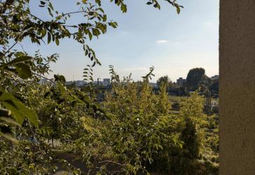 Attraktive, vermietete Altbauwohnung mit Balkon in Top-Lage