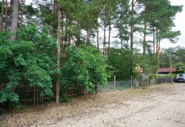 Ein Baugrundstück in der Waldgemeinde Borkwalde mit einem Kauf- oder Erbbaurechtsvertrag