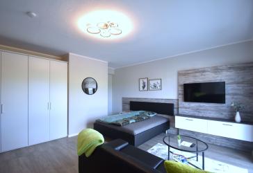 *freies* 1-Zimmer-Apartment, renoviert, bequem & wohnlich ausgestattet, zentral in AB