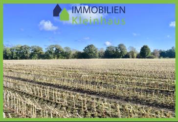 Vorschaubild Immobilie