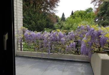 Wohnung kaufen in 45894 Buer