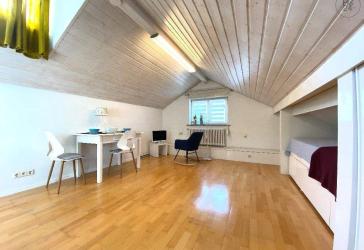 Schöne 1-Zimmer-Dachwohnung in Lörrach - Haagen, möbliert