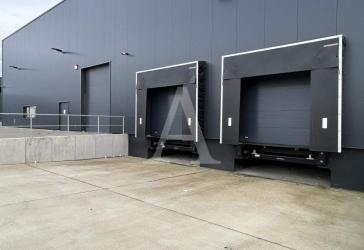 NEUBAU | INDUSTRIEGEBIET 24/7 | RAMPE + EBENERDIG | MIETERSPEZIFISCHE AUSSTATTUNG