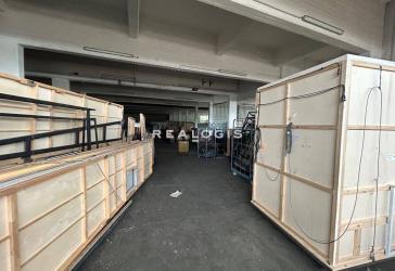 ca. 3.000 m² Hallenfläche mit Rampenandienung in Rothenburgsort