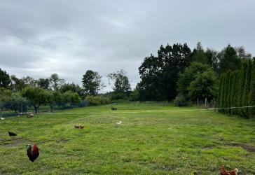 Vorschaubild Grundstück
