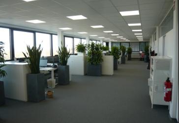 Vorschaubild Büro- /Praxis-Immobilie