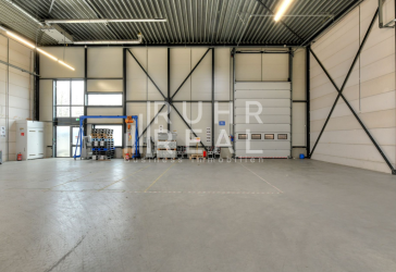 Lagerhallen in hervorragender Lage von Köln | Rampen | Zahlreiche Stellplätze | RUHR REAL