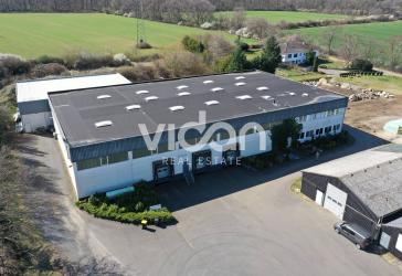 KURZFRISTIGE LAUFZEIT MÖGLICH | HALLE | RAMPEN | KÜHLLAGER | 6,0 m UKB | VIDAN REAL ESTATE