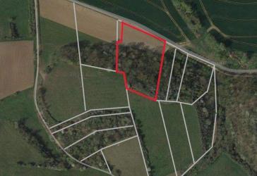 ***6.670 m² Busch- und Ackerfläche in Bennungen, Südharz***PROVISIONSFREI