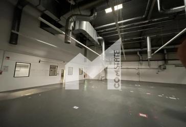 PROVISIONSFREI | PRODUKTION | LAGER | ERWEITERUNGSPOTENZIAL | RAMPE | COMSTATE