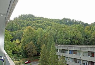 Bad Harzburg am Kurviertel 2 Zimmer mit großem Balkon und Schwimmbad, Tiefgaragenplatz