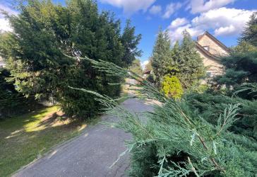 Einfamilienhaus (vermietet) zu verkaufen