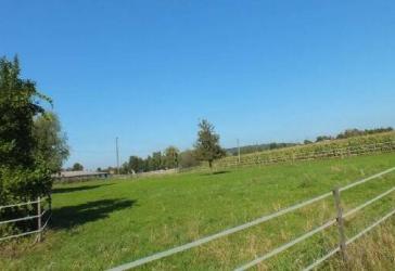 2,1 Hektar in Ortsrandlage von Rielasingen, Gehöft zu verkaufen.Landkreis Konstanz / Bodenseeregion