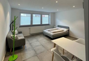 Top saniertes Apartment, voll möbliert in LU-Süd