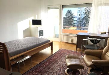 Ein-Raum-Apartment, modern möbliert, hell und freundlich, Koblenz-Karthause