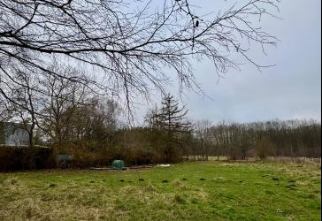 Vorschaubild Grundstück