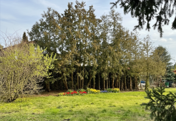 Biesdorf Süd! Baugrundstück mit bester Anbindung