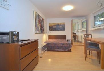 Möbliertes 1-Zimmer Apartment im Souterrain mit Internet in Mainz