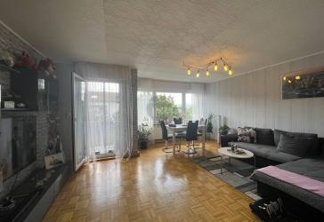 IDEALE KAPITALANLAGE MIT BLICK AUF DIE MURG