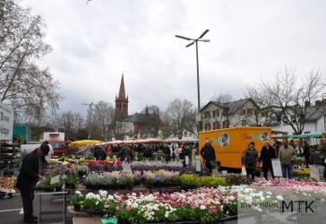 SINGLE GESUCHT!! TOP sanierte 2-Zi.-Whg. mit Flair in der Höchster ALTSTADT !!