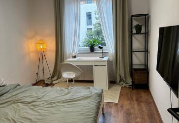 New cozy furnished single apartment in Bilk