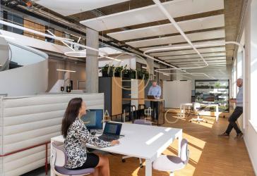 Vorschaubild Büro- /Praxis-Immobilie