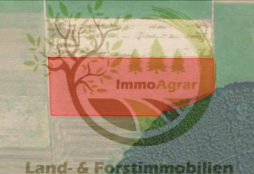 Vorschaubild Immobilie
