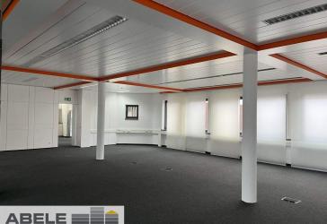 Vorschaubild Büro- /Praxis-Immobilie
