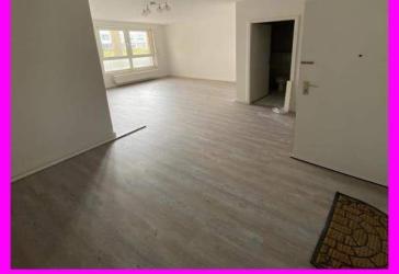 31m² - APPARTEMENT mit Prima Grundriss in Campusnähe! AB SOFORT