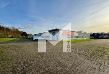 PROVISIONSFREI | HALLE | LAGER | PRODUKTION | FREIFLÄCHE | RAMPE | COMSTATE